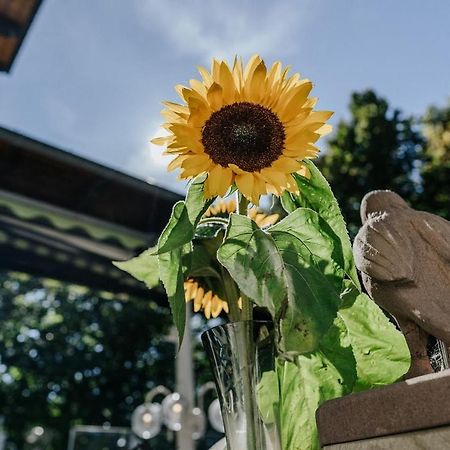 Landgasthof Adler Breisach エクステリア 写真