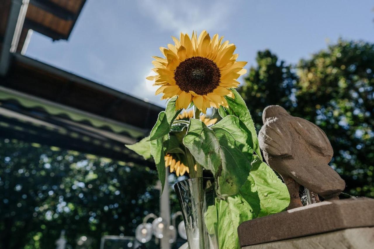 Landgasthof Adler Breisach エクステリア 写真